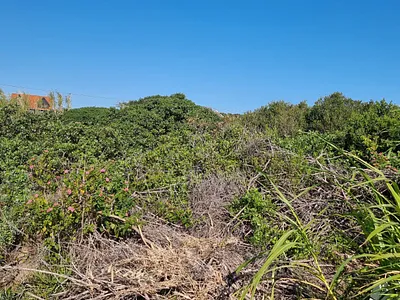 Vacant Land For Sale in Port Alfred - efBq.webp