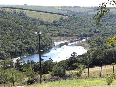 Farm For Sale in Bathurst - sP5i.webp