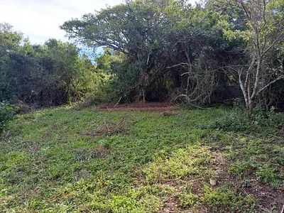 Vacant Land For Sale in Bathurst - jd90.webp