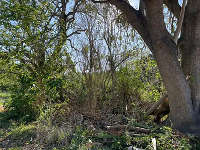 Vacant Land For Sale in Port Alfred - sFLp.webp