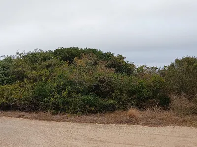Vacant Land For Sale in Kenton On Sea - qwKK.webp