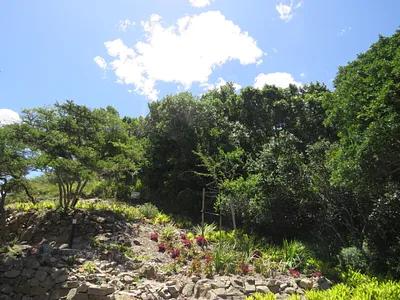 Vacant Land For Sale in Port Alfred - 6dgm.webp
