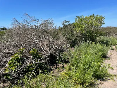 Vacant Land For Sale in Port Alfred - qH2T.webp