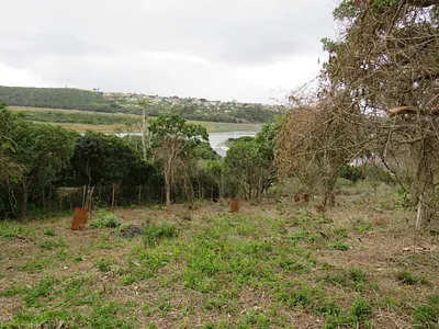 Vacant Land For Sale in Port Alfred - KXv3.webp