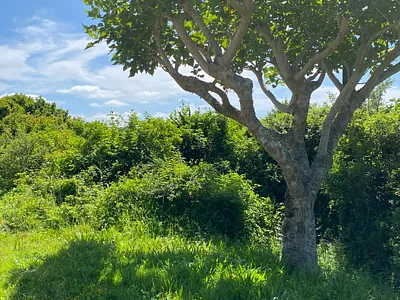 Vacant Land For Sale in Boesmansriviermond - 2KEQ.webp