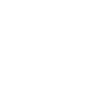 LIONLEAD Real Estate Tygervalley Logo - EL1k.webp