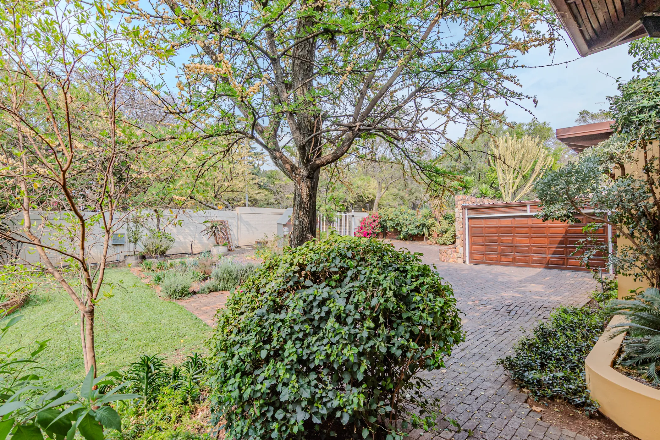 Carousel Indicator - 3XOf.webp