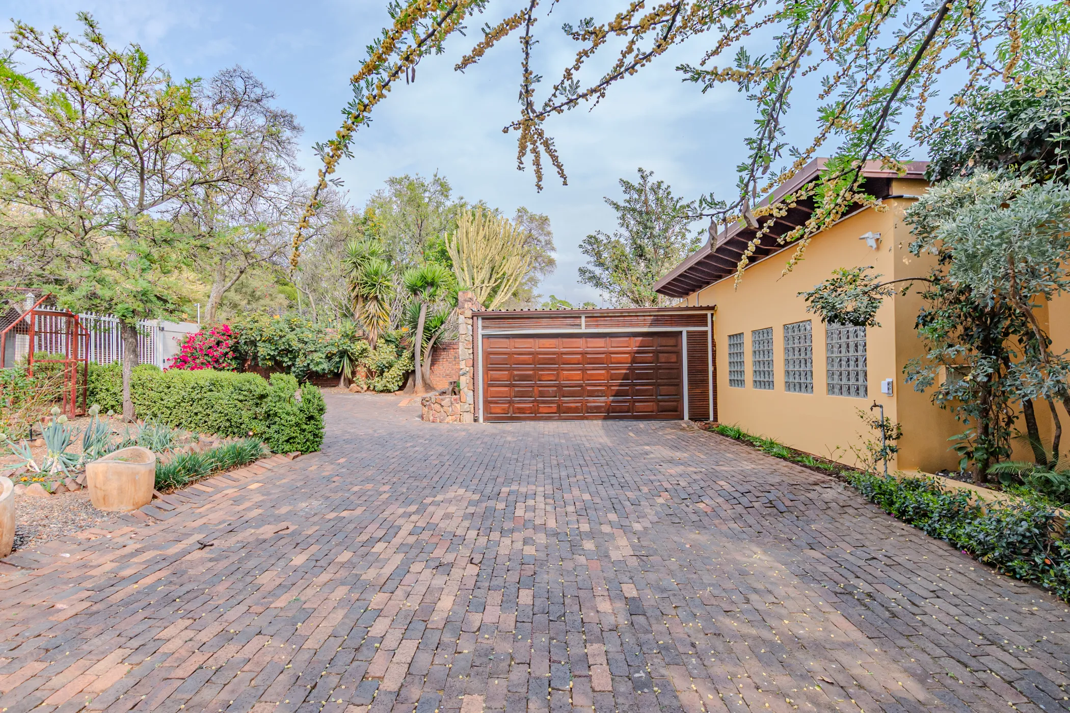 Carousel Indicator - LFWI.webp