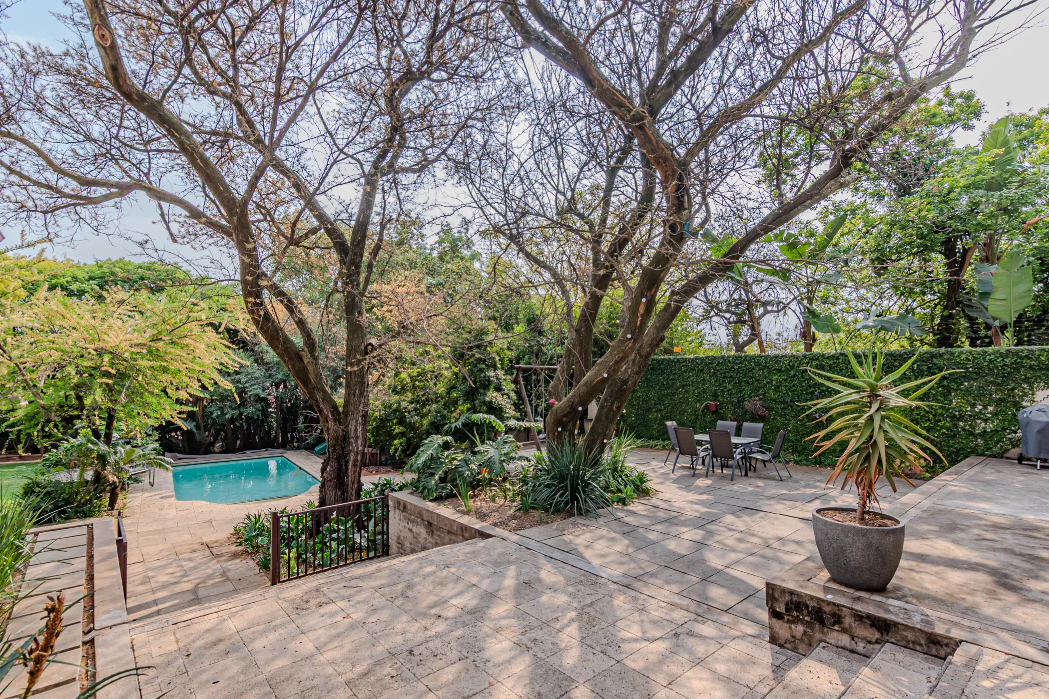 Carousel Indicator - TPIA.webp