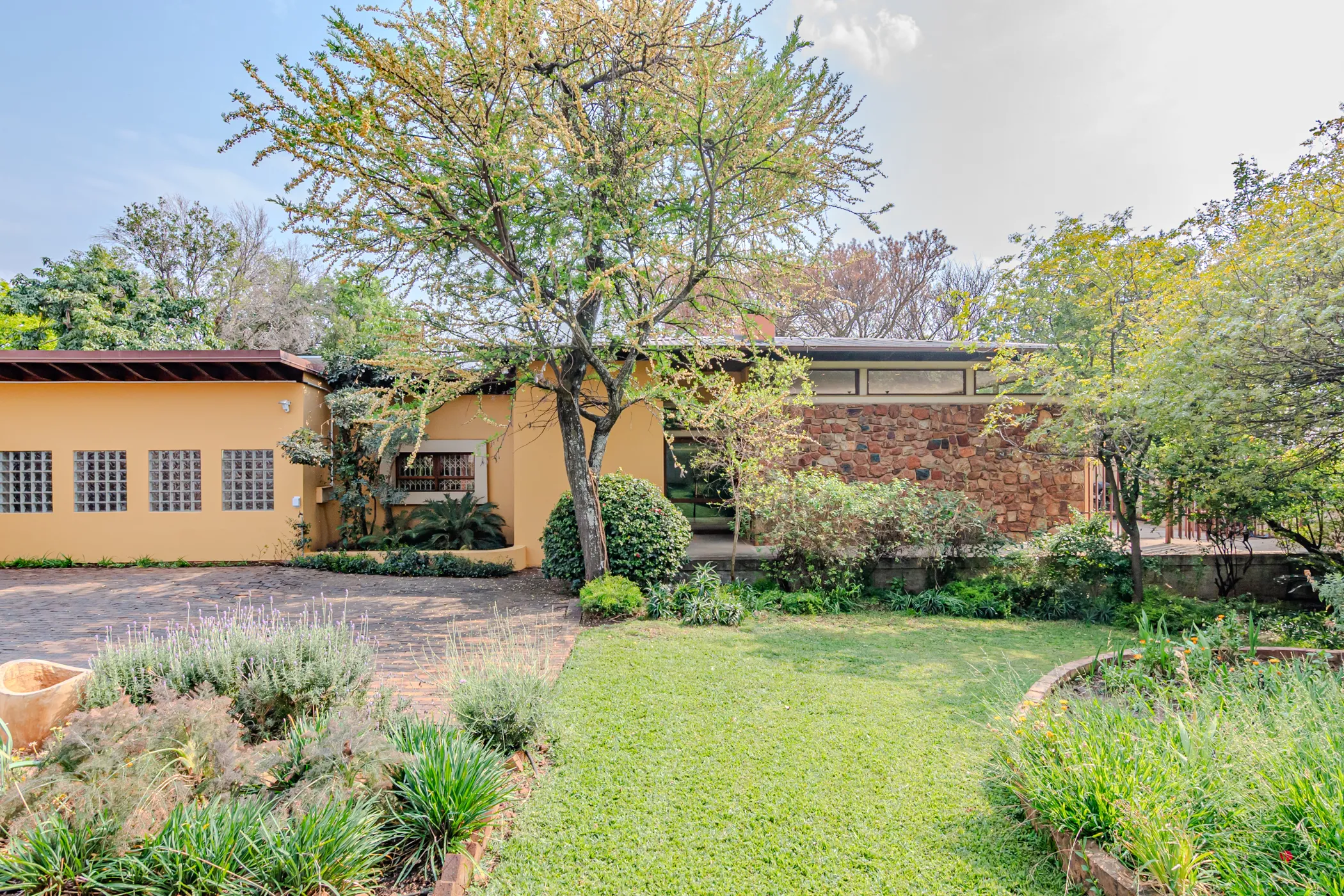 Carousel Indicator - hB4v.webp