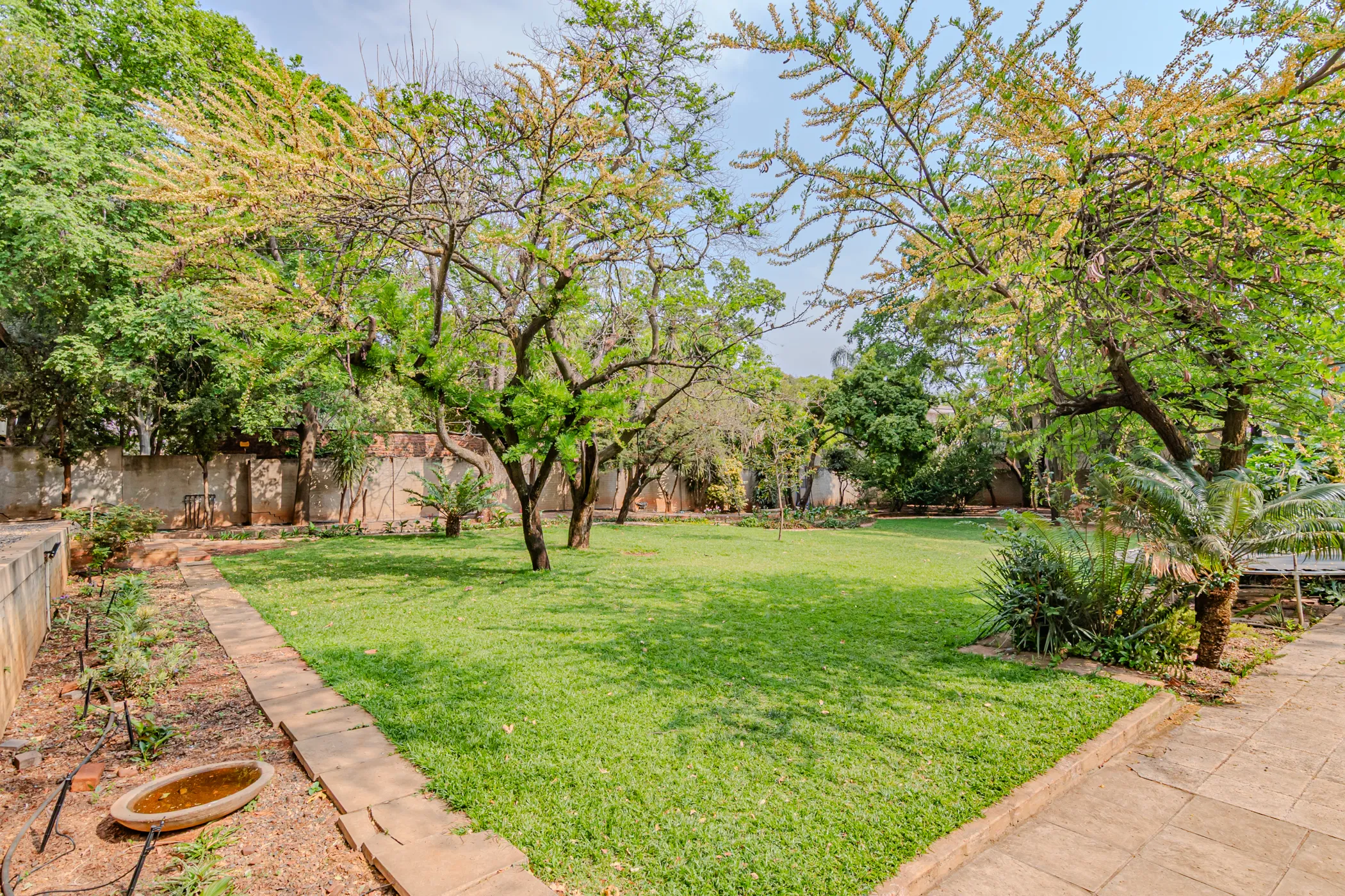 Carousel Indicator - rlcg.webp