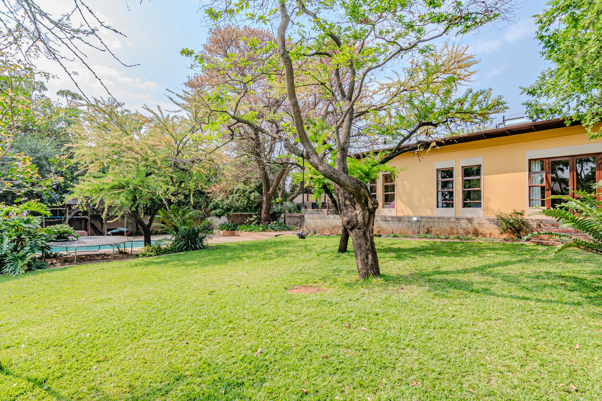 Carousel Indicator - yM8k.webp