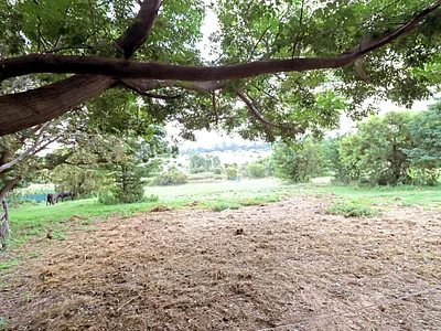 Farm For Sale in Midrand - FVOS.webp