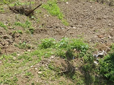 Vacant Land For Sale in Durban - FFSK.webp