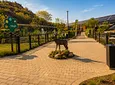 Carousel Indicator - KCoy.webp