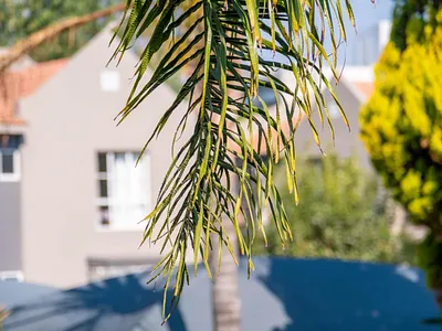 0.5 Bedroom Apartment For Sale in Johannesburg - img
