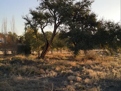 Vacant Land For Sale in Askham - N5St.webp
