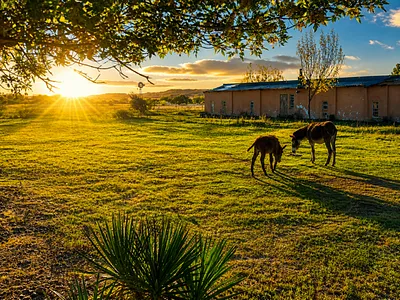 Farm For Sale in Bloemfontein - 1Tbs.webp