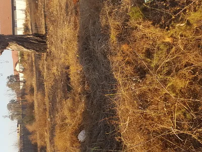 Vacant Land For Sale in Meyerton - TSFr.webp