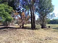 Carousel Indicator - 8mqR.webp