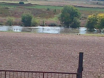 Farm For Sale in Meyerton - Kjng.webp