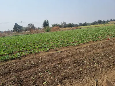 Vacant Land For Sale in Vereeniging - d68l.webp