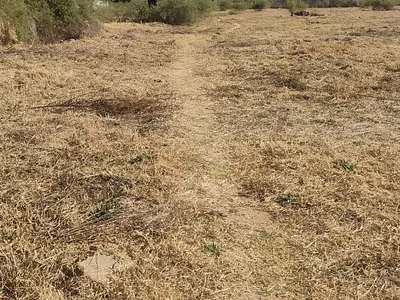 Vacant Land For Sale in Meyerton - WyYB.webp