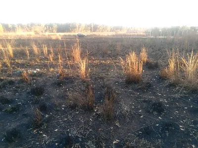Vacant Land For Sale in Deneysville - Eg9O.webp