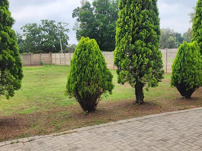 5 Bedroom House To Rent in Sasolburg - img