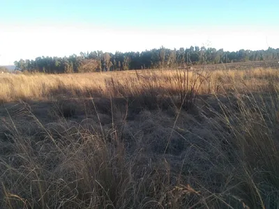 Vacant Land For Sale in Deneysville - 0OWU.webp