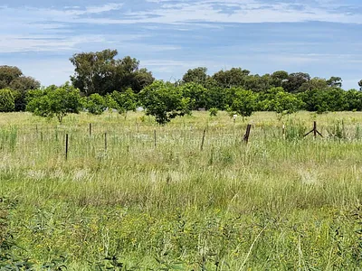 Vacant Land For Sale in Sasolburg - tkJd.webp
