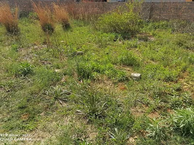 Vacant Land For Sale in Vanderbijlpark CE 7, Vanderbijlpark CE - WPAm.webp