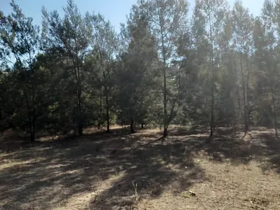 Vacant Land For Sale in Pretoria - img