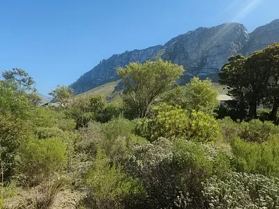 Vacant Land For Sale in Bettys Bay - gt4N.webp