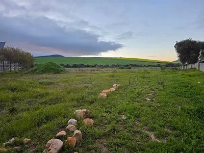 Vacant Land For Sale in D'urbanvale, Durbanville - ZVHh.webp