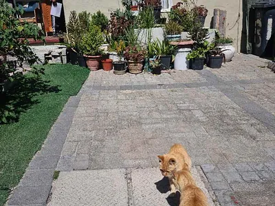 4 Bedroom House For Sale in Mitchells Plain - obxC.webp