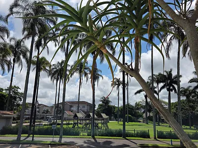 2 Bedroom Apartment To Rent in Ballito - DDNH.webp