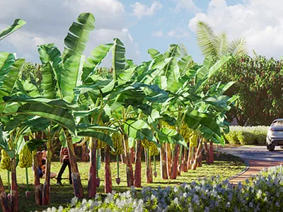Vacant Land For Sale in Ballito - 1kiz.webp