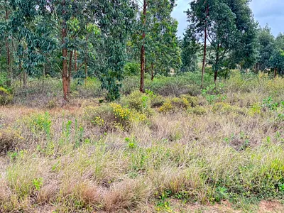 Vacant Land For Sale in Ballito - 57f9.webp