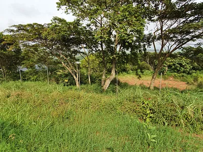 Vacant Land For Sale in Mtunzini - EtID.webp