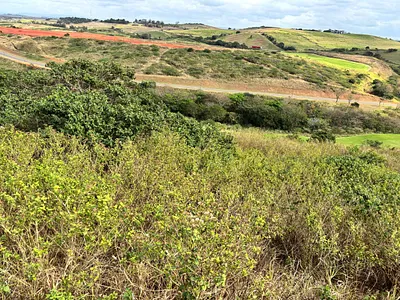 Vacant Land For Sale in Ballito - FWGM.webp