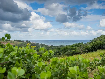 Vacant Land For Sale in Ballito - 5Ljd.webp