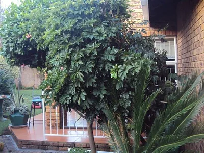 3 Bedroom House To Rent in Kempton Park - M6BX.webp