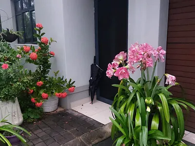 3 Bedroom Townhouse For Sale in Richards Bay - eF7L.webp