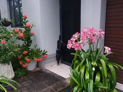 3 Bedroom Townhouse For Sale in Richards Bay - 3QOm.webp