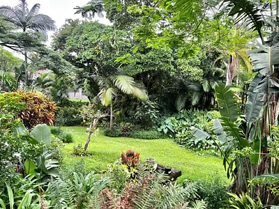 4 Bedroom House To Rent in Ballito - t89a.webp