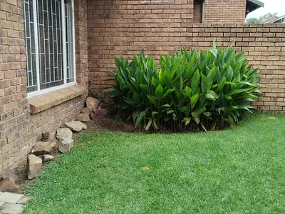 2 Bedroom Townhouse To Rent in Kempton Park - 0sk2.webp
