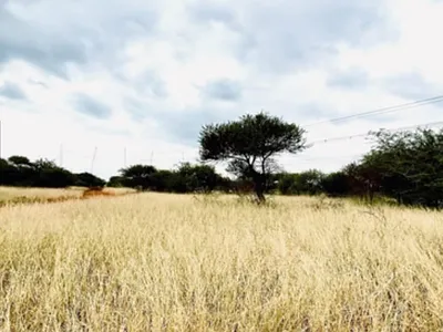 Farm For Sale in Thabazimbi - img