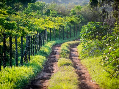 Vacant Land For Sale in Ballito - img