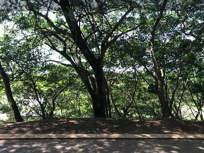 Vacant Land For Sale in Ballito - xF6F.webp